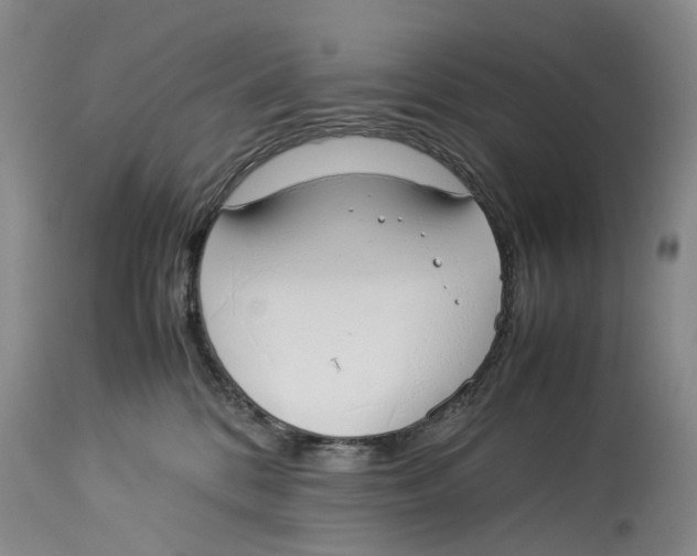 X0000114170328200911051533