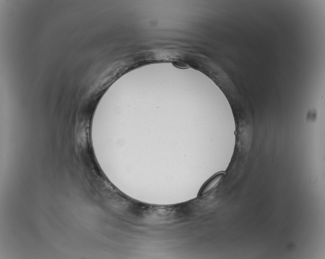 X0000114170329200911051533