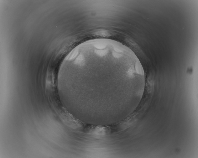 X0000114170330200911051533