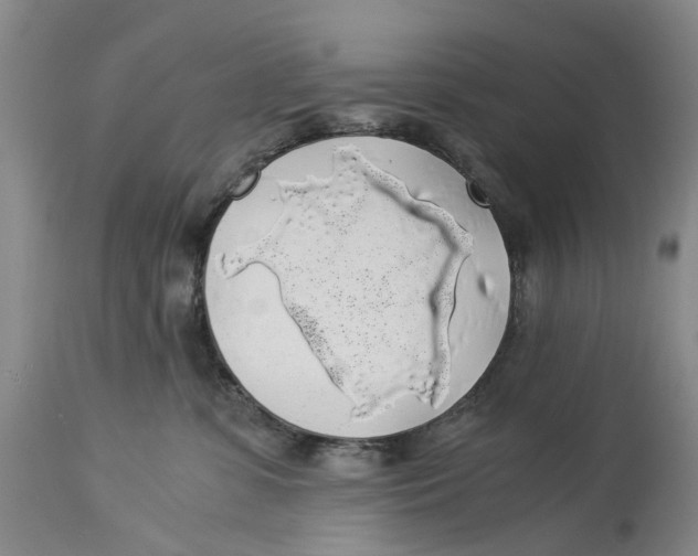 X0000114170331200911051533