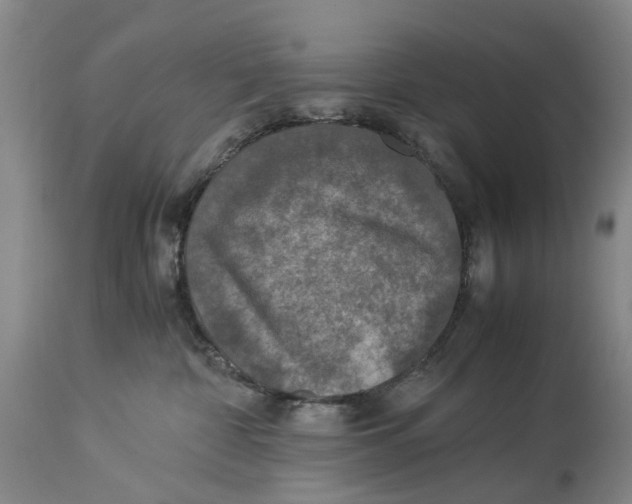 X0000114170332200911051533