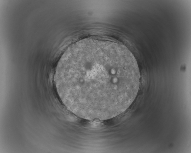 X0000114170333200911051533