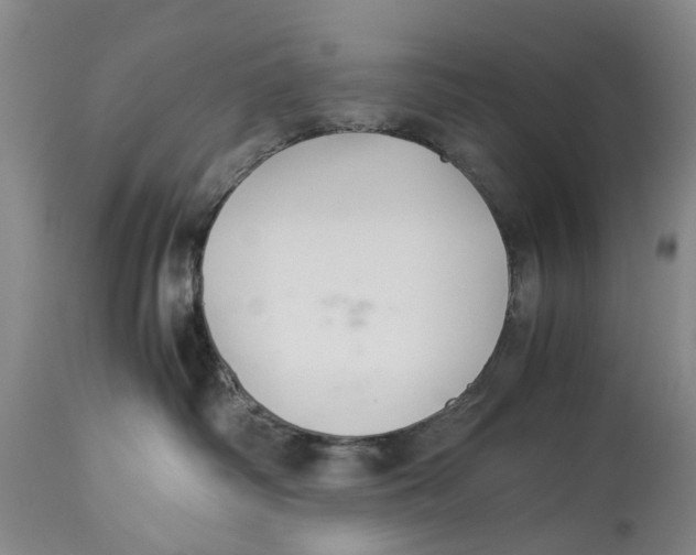 X0000114170334200911051533