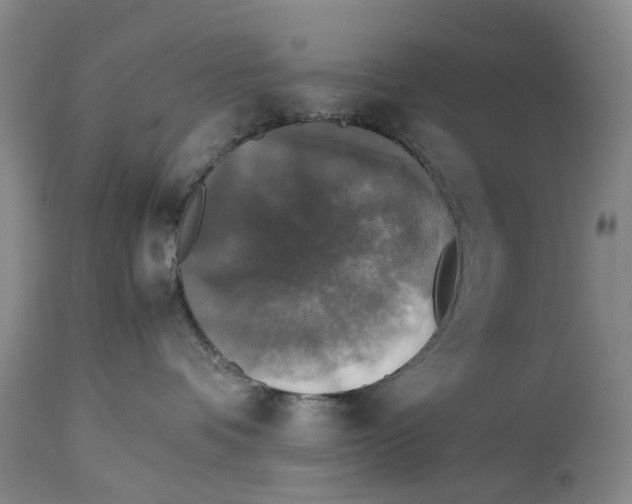 X0000114170336200911051533