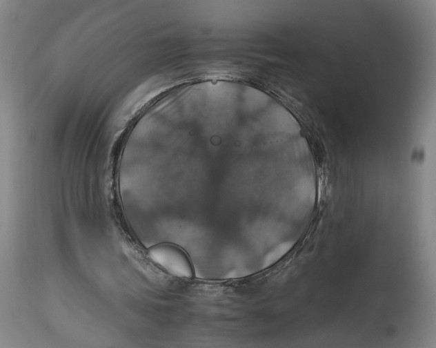 X0000114170339200911051532