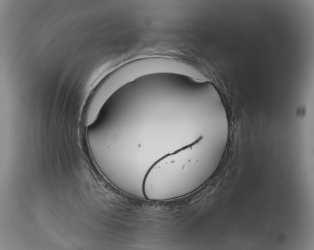 X0000114170340200911051532