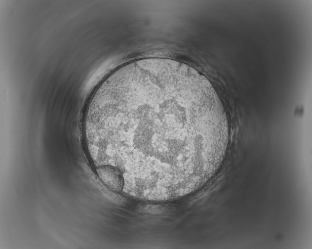 X0000114170341200911051532