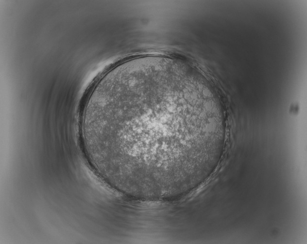 X0000114170342200911051532