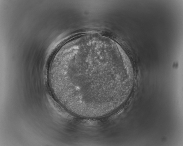 X0000114170343200911051532