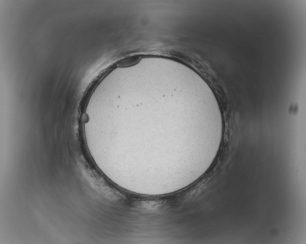 X0000114170344200911051532