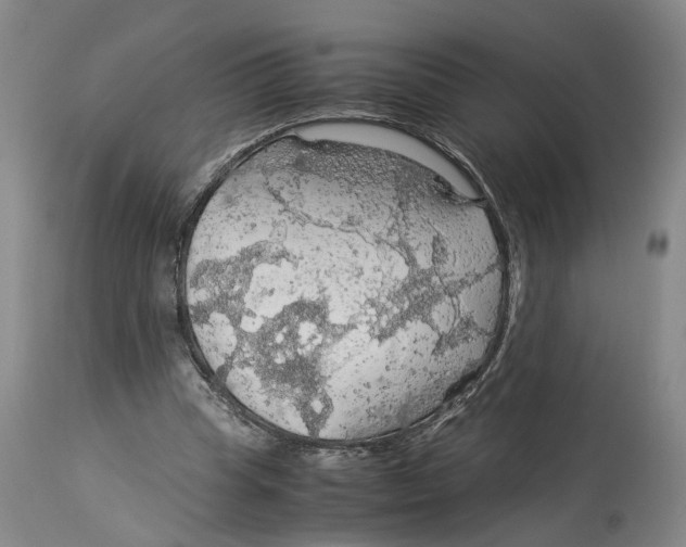 X0000114170345200911051532