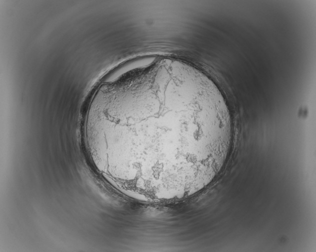 X0000114170346200911051532