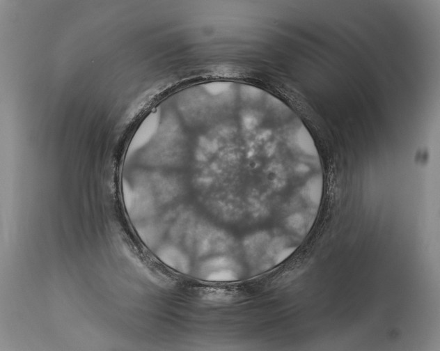 X0000114170347200911051532