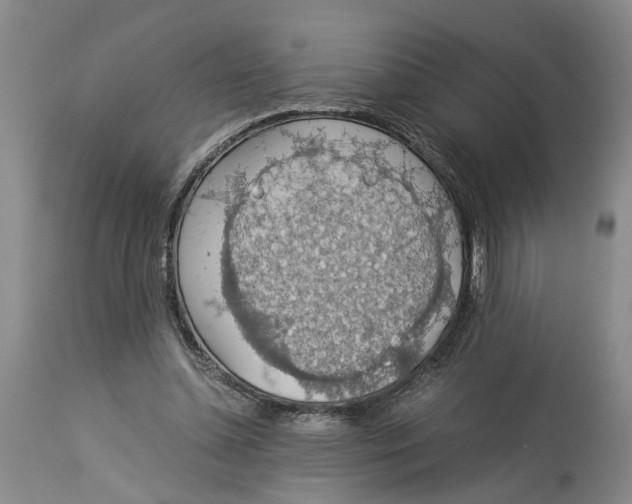 X0000114170348200911051532