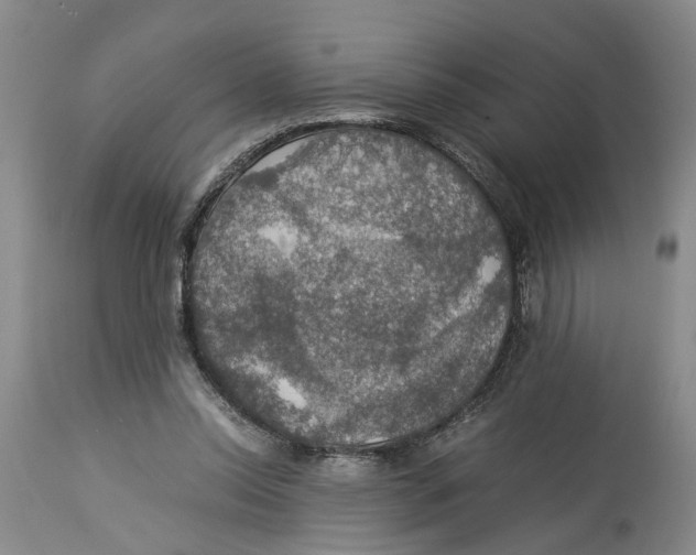 X0000114170350200911051532