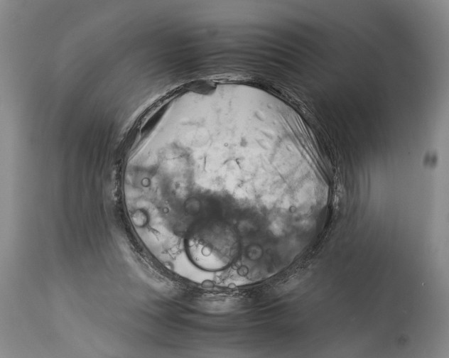 X0000114170351200911051532