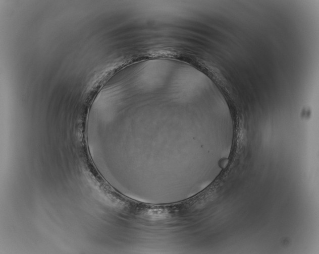 X0000114170353200911051533