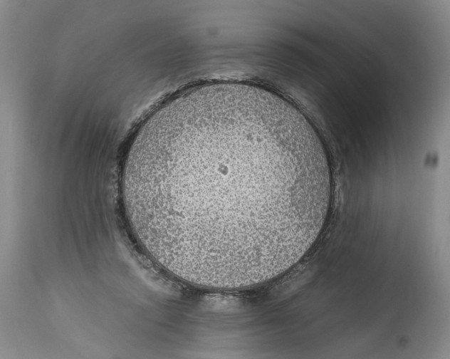 X0000114170354200911051533