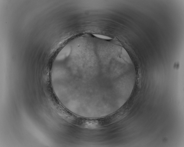 X0000114170355200911051533