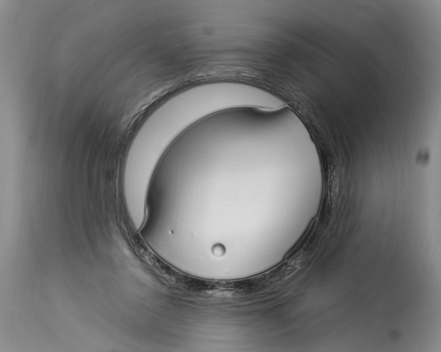 X0000114170356200911051533