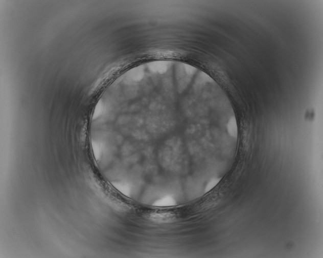 X0000114170357200911051533