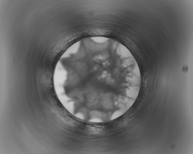 X0000114170359200911051533