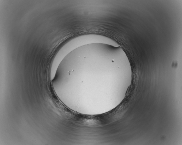 X0000114170360200911051533