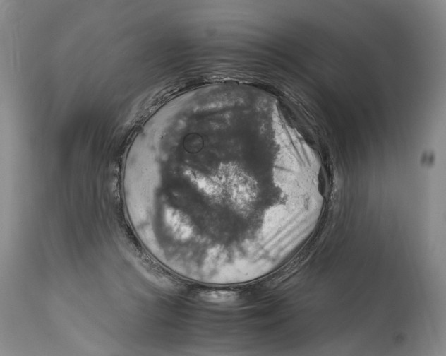 X0000114170361200911051533