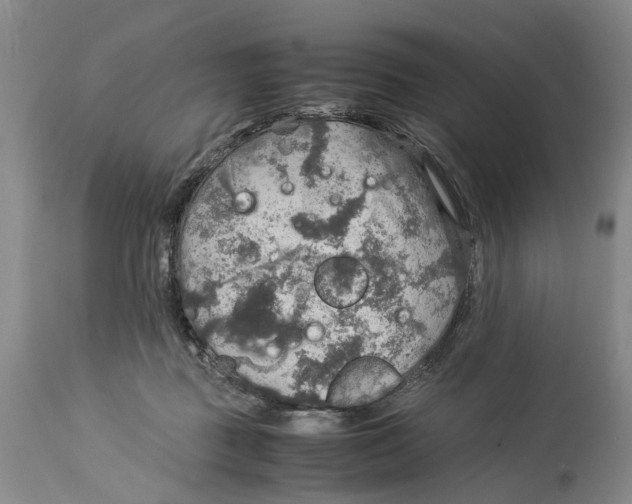 X0000114170363200911051533