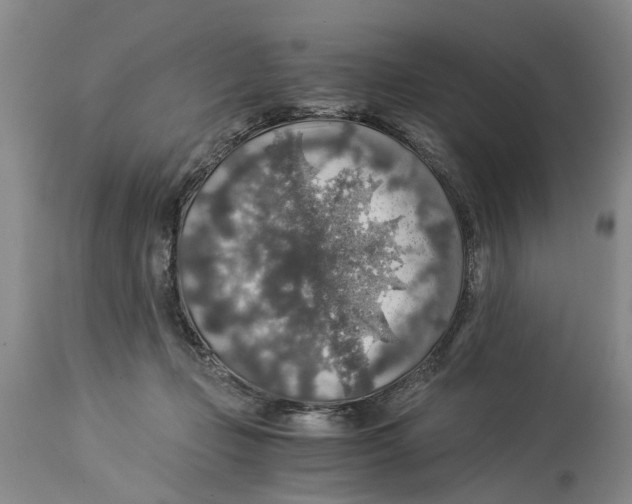 X0000114170365200911051533