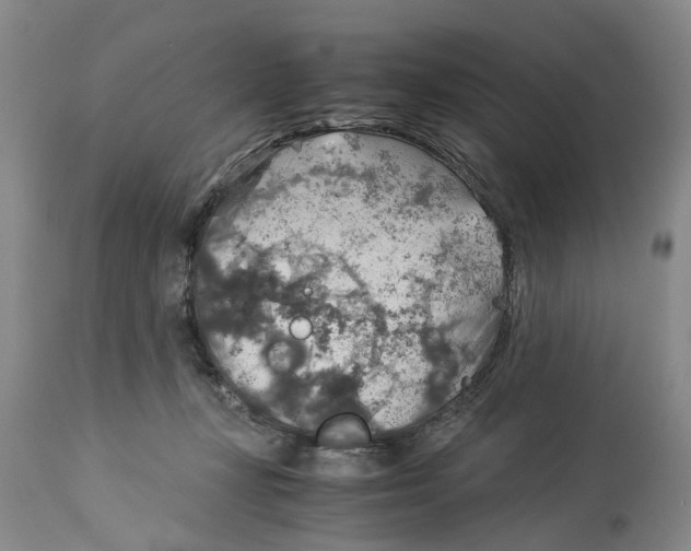 X0000114170367200911051533