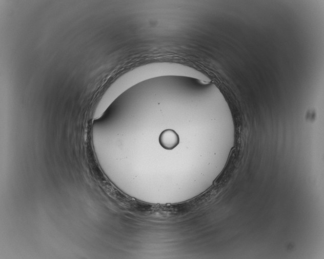 X0000114170368200911051533