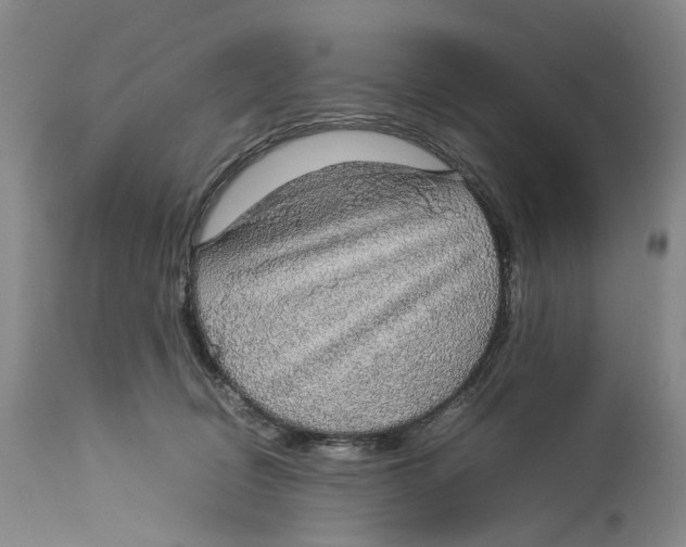 X0000114170370200911051533