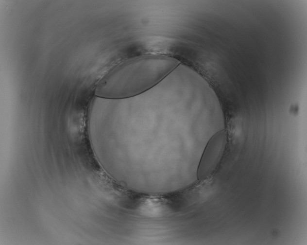 X0000114170372200911051533