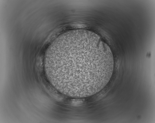 X0000114170373200911051533