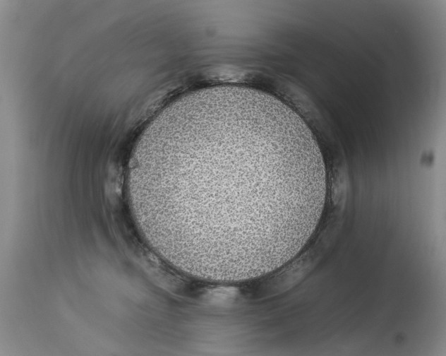 X0000114170374200911051533