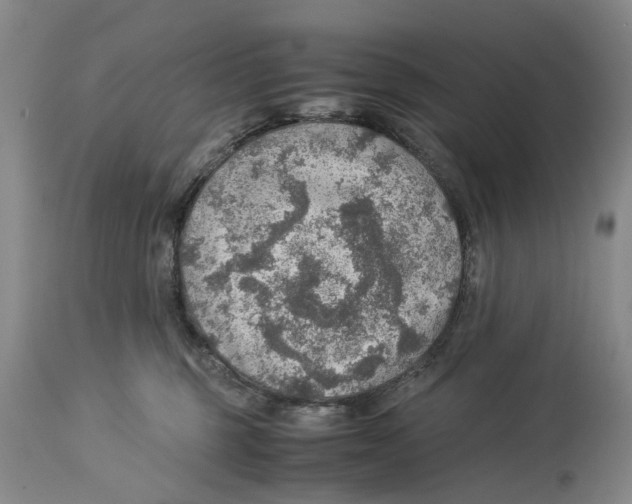 X0000114170375200911051533