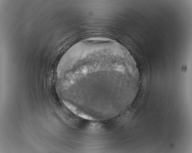 X0000114170376200911051533