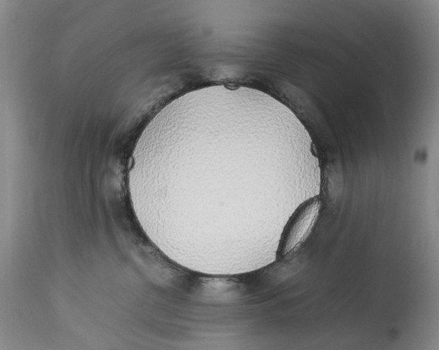 X0000114170380200911051533