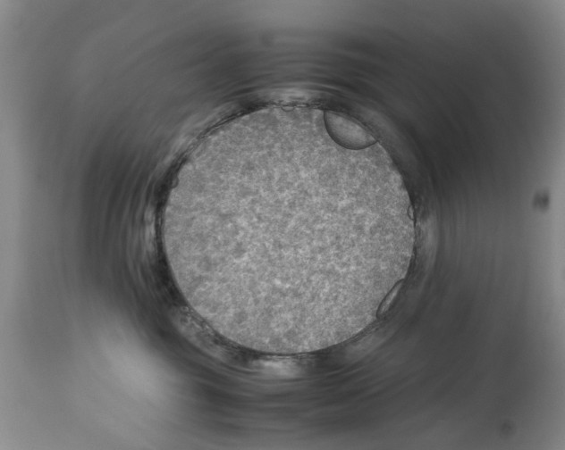 X0000114170381200911051533