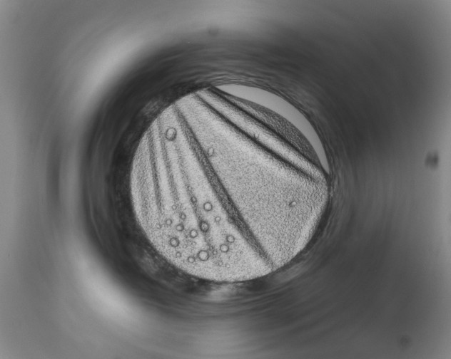 X0000114170382200911051533