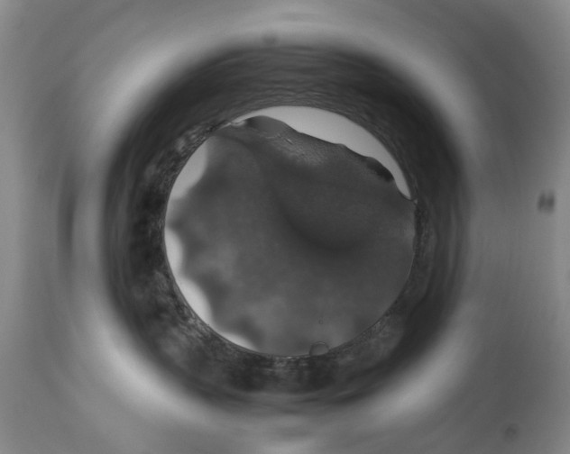 X0000114170383200911051533