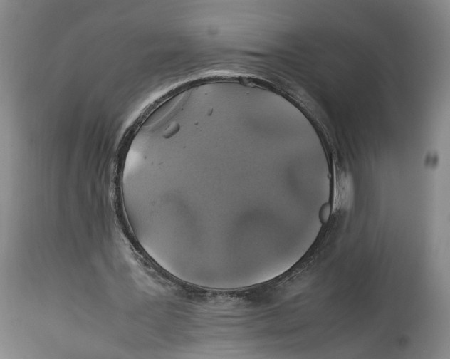 X0000114170387200911051532