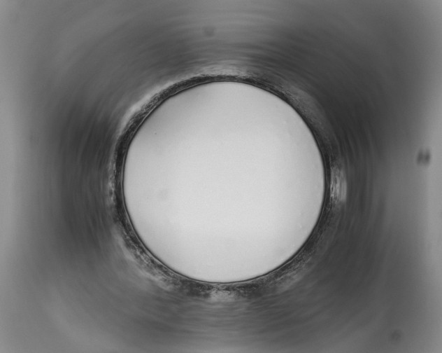 X0000114170388200911051532