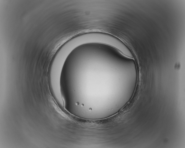 X0000114170389200911051532