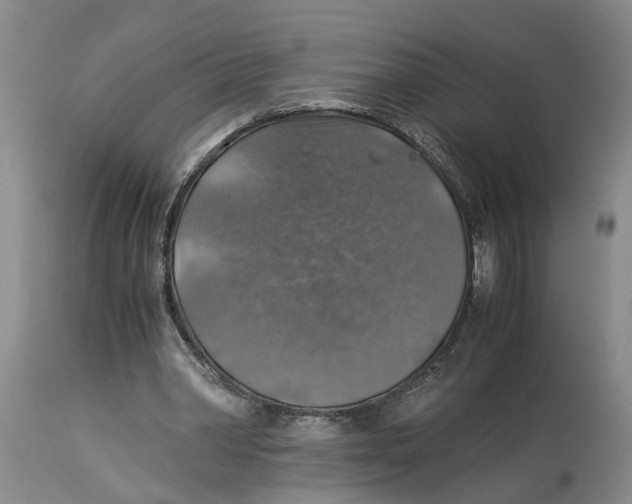 X0000114170390200911051532