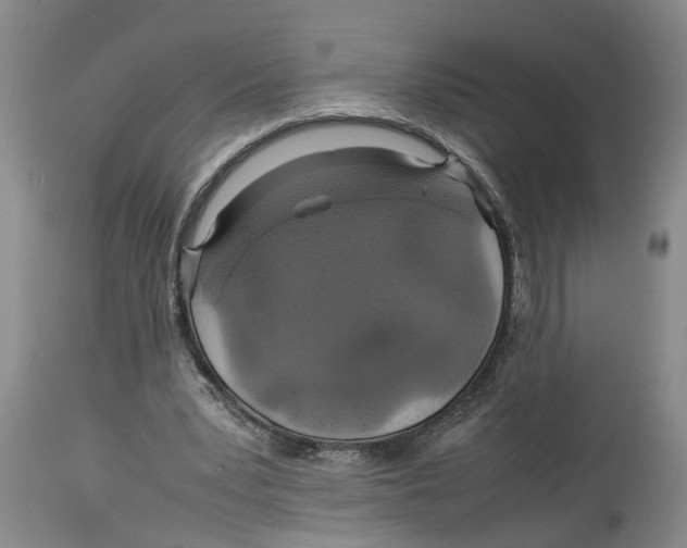 X0000114170391200911051532