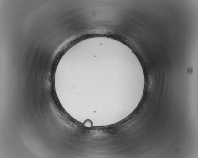 X0000114170392200911051532