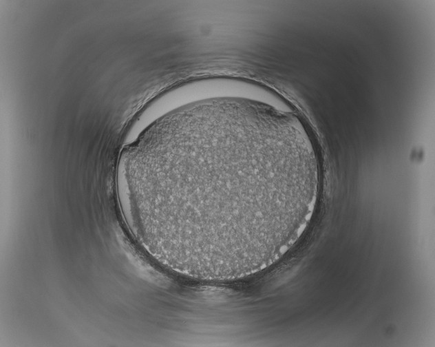 X0000114170393200911051532