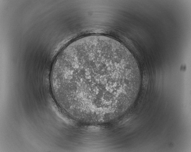 X0000114170394200911051532